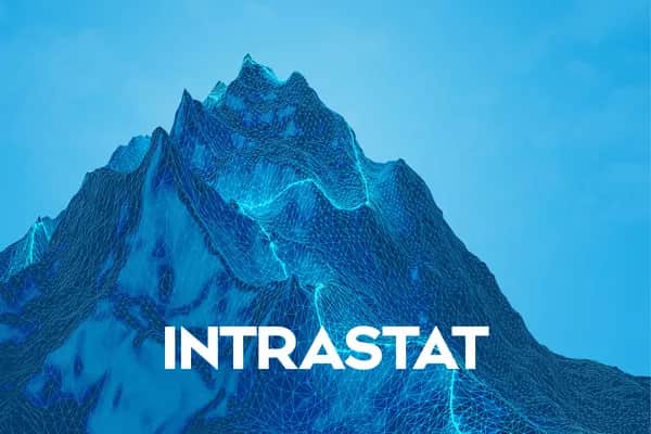 INTRASTAT Kurs – innergemeinschaftliche Handelsstatistik