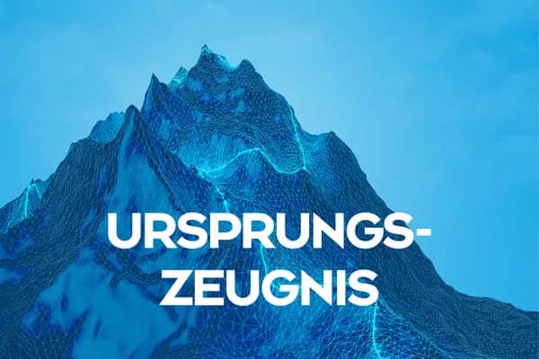 Nichtpräferenzieller Ursprung – Ursprungszeugnis