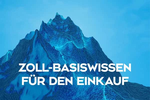 Zoll-Basiswissen für den Einkauf – kompaktes Zollwissen für Einkäufer