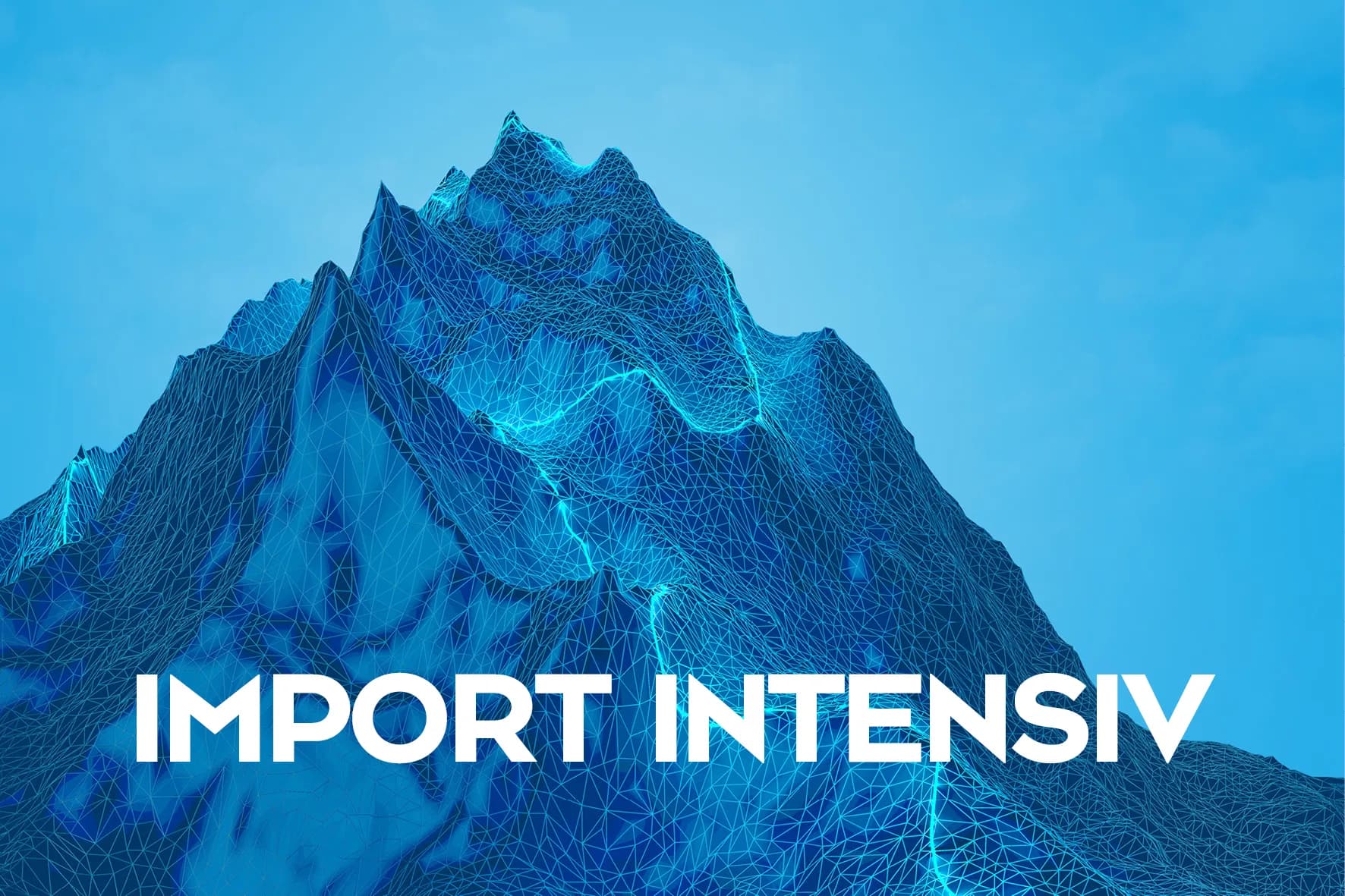 Import Schulung – Online