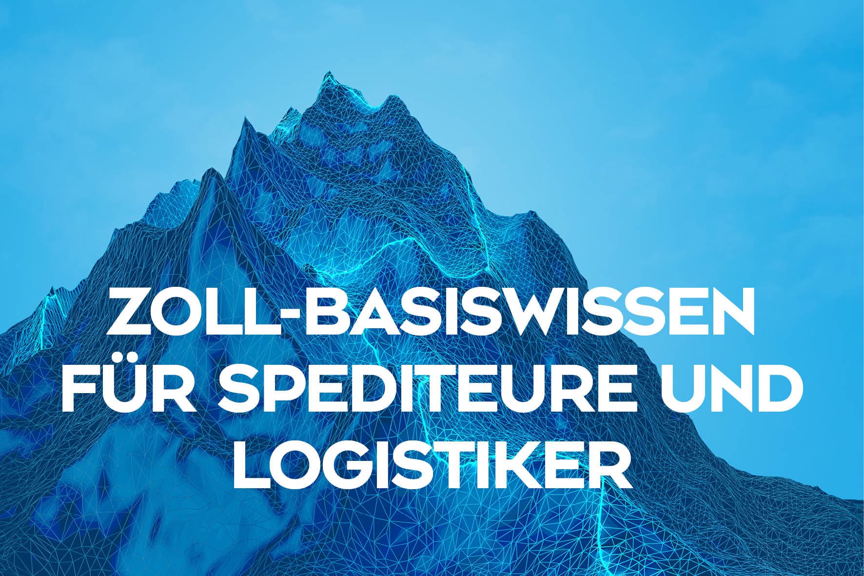 Zoll‑Basiswissen für Spediteure und Logistiker – kompaktes Webinar