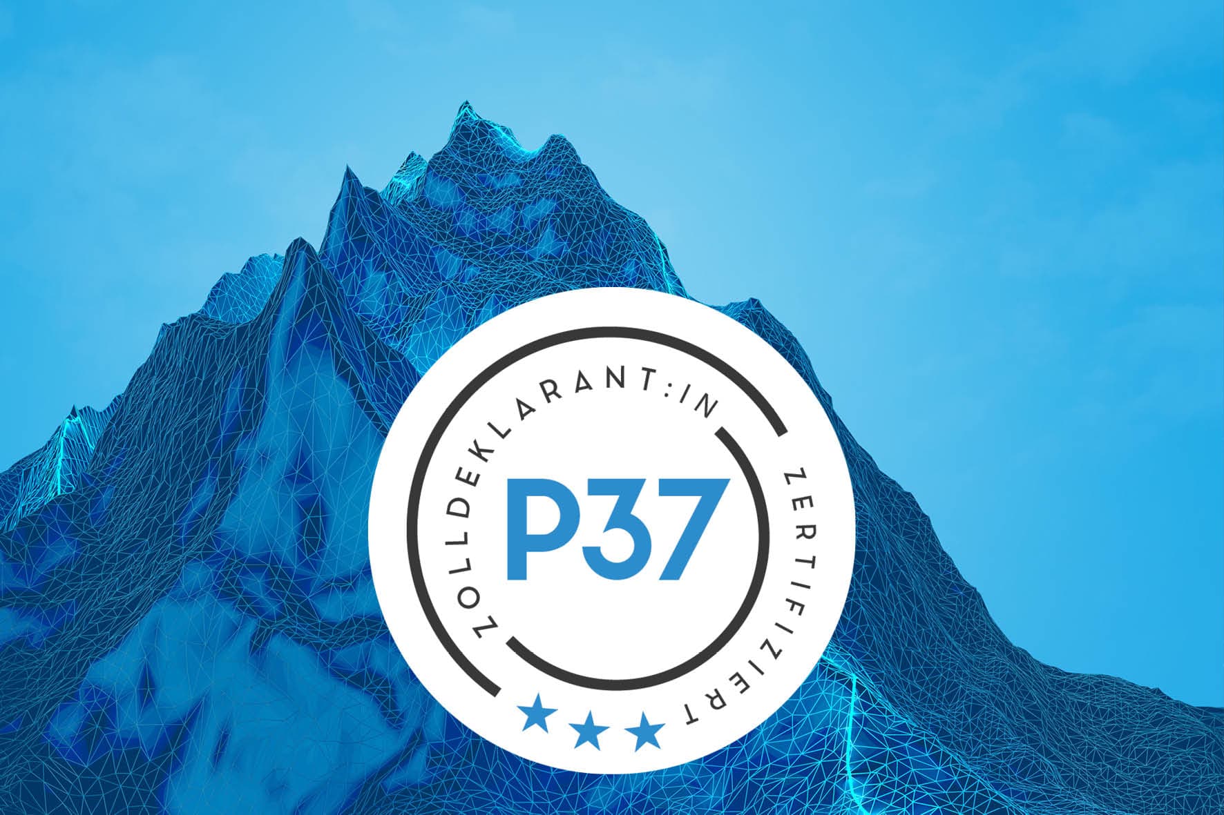 Ausbildung Zolldeklarant – praxisnahe Berufsausbildung