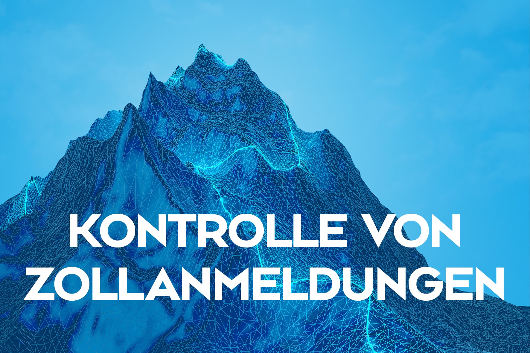 Zollanmeldungen kontrollieren – worauf muss ich achten?