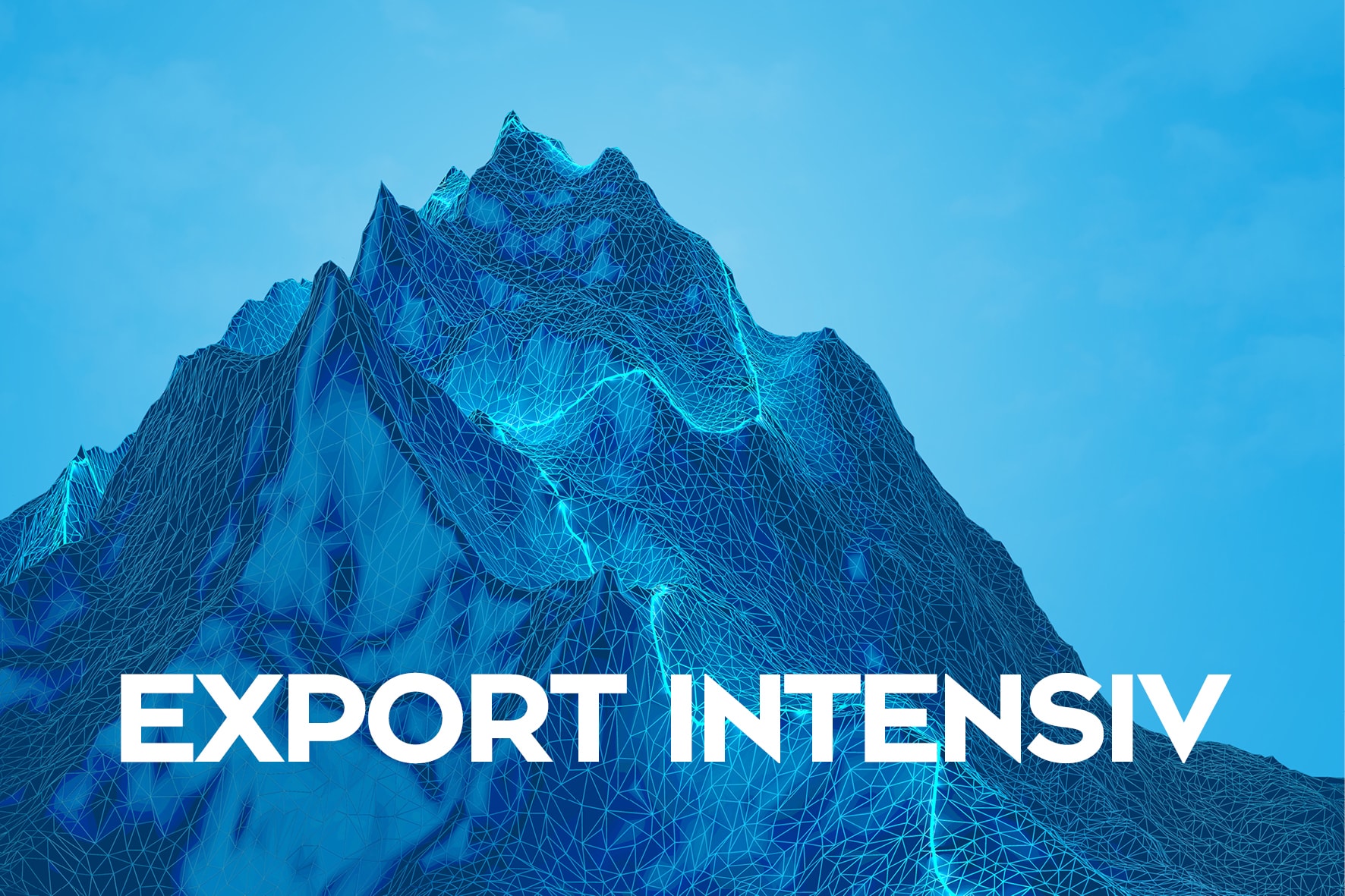 Export-Schulung – Online