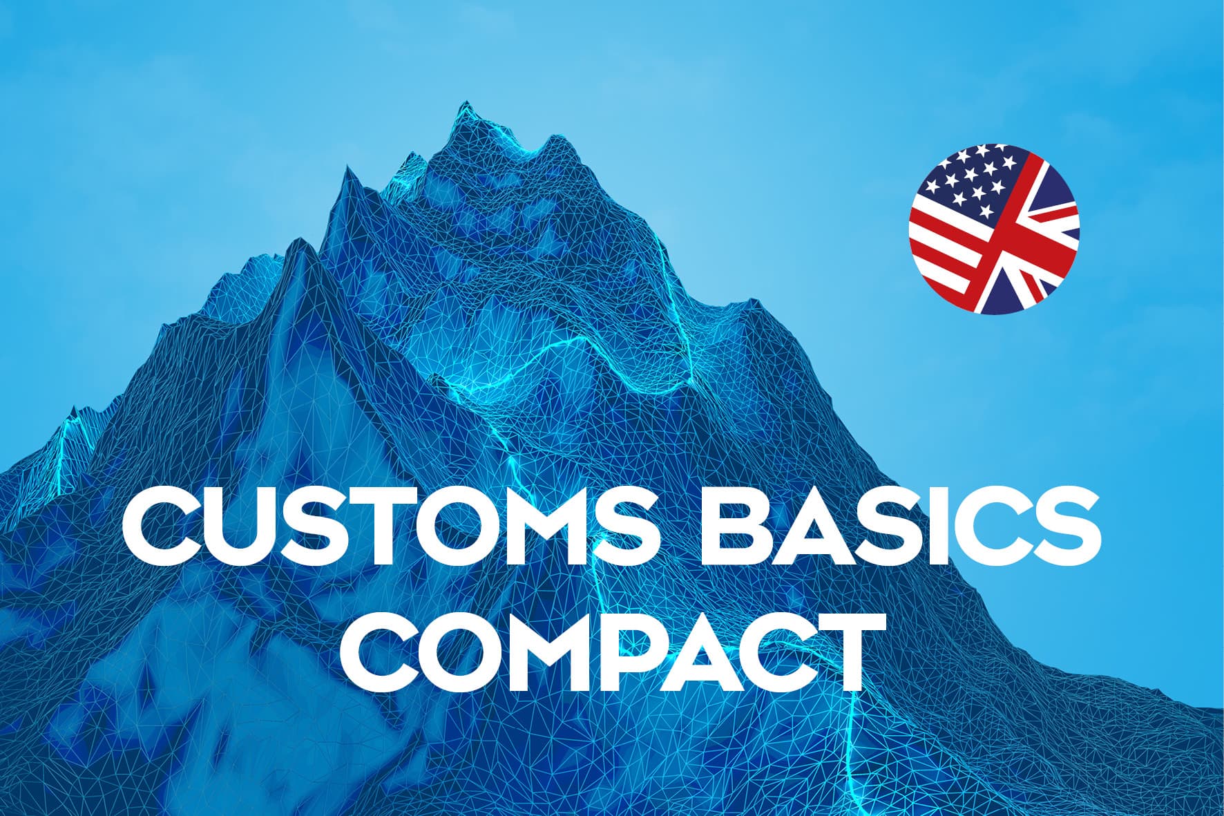 Customs Basics - Compact Online Course