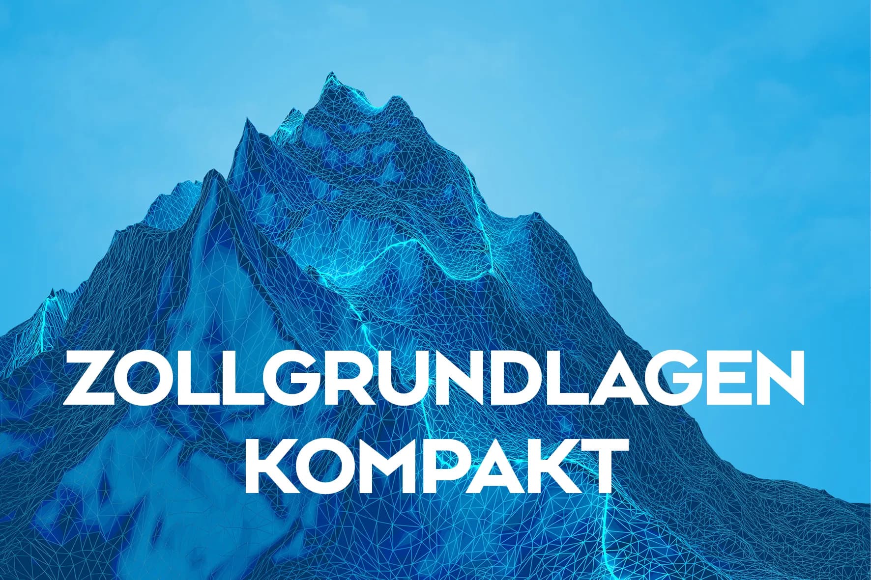 Zollwissen für Industrie und Handel – kompakte Schulung
