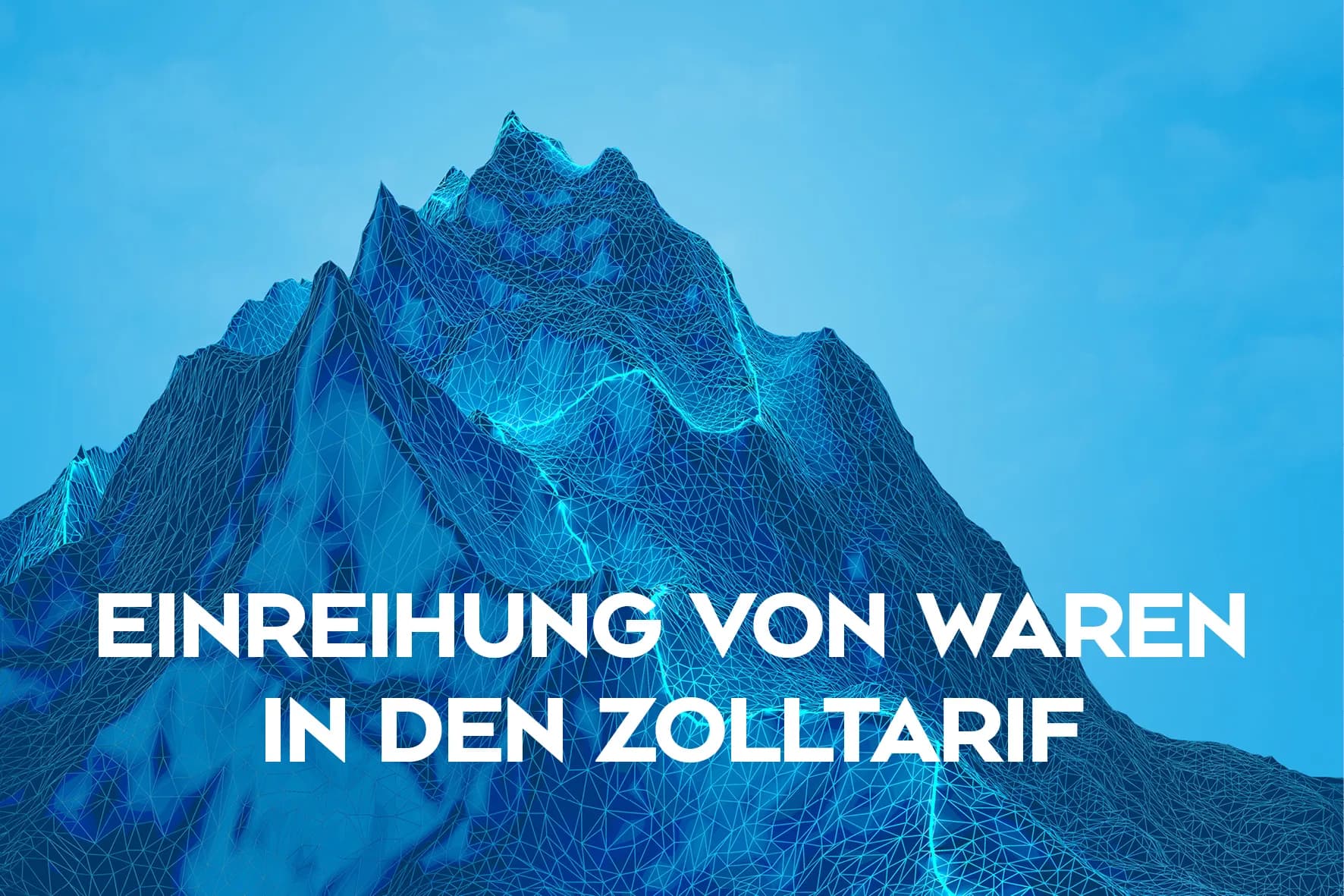 Webinar Zolltarif für Einsteiger