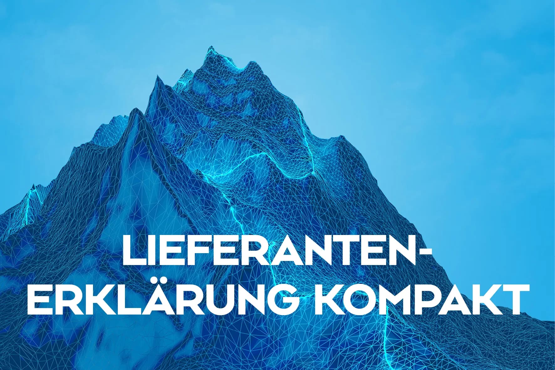 Lieferantenerklärungen ausstellen – worauf muss ich achten?