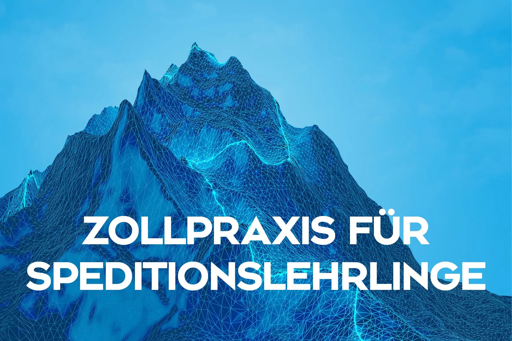Zollwissen für Speditionslehrlinge – kompakt und praxisnah
