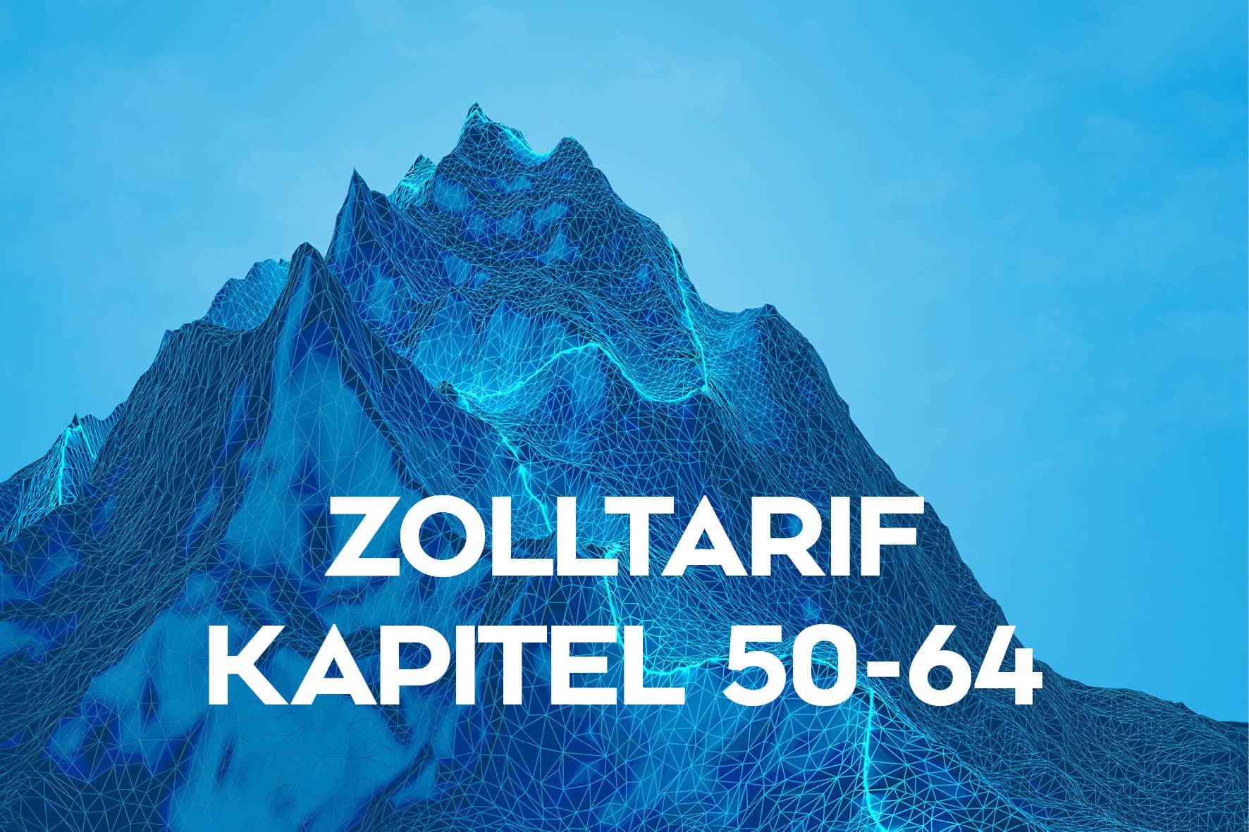 Einreihung von Textilien in den Zolltarif – Zolltarif‑Seminar Kapitel 50‑64