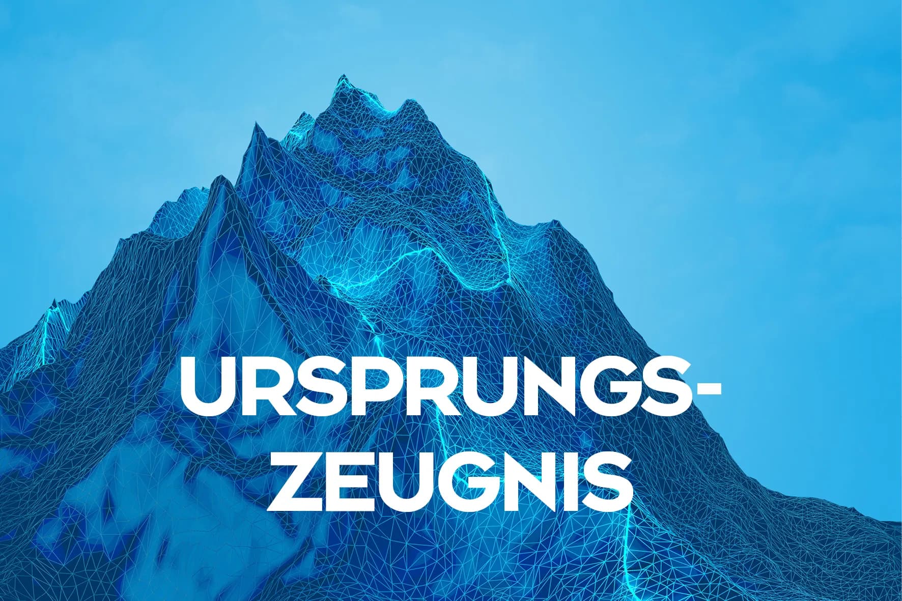 Wann und wie wird ein Ursprungszeugnis verwendet?