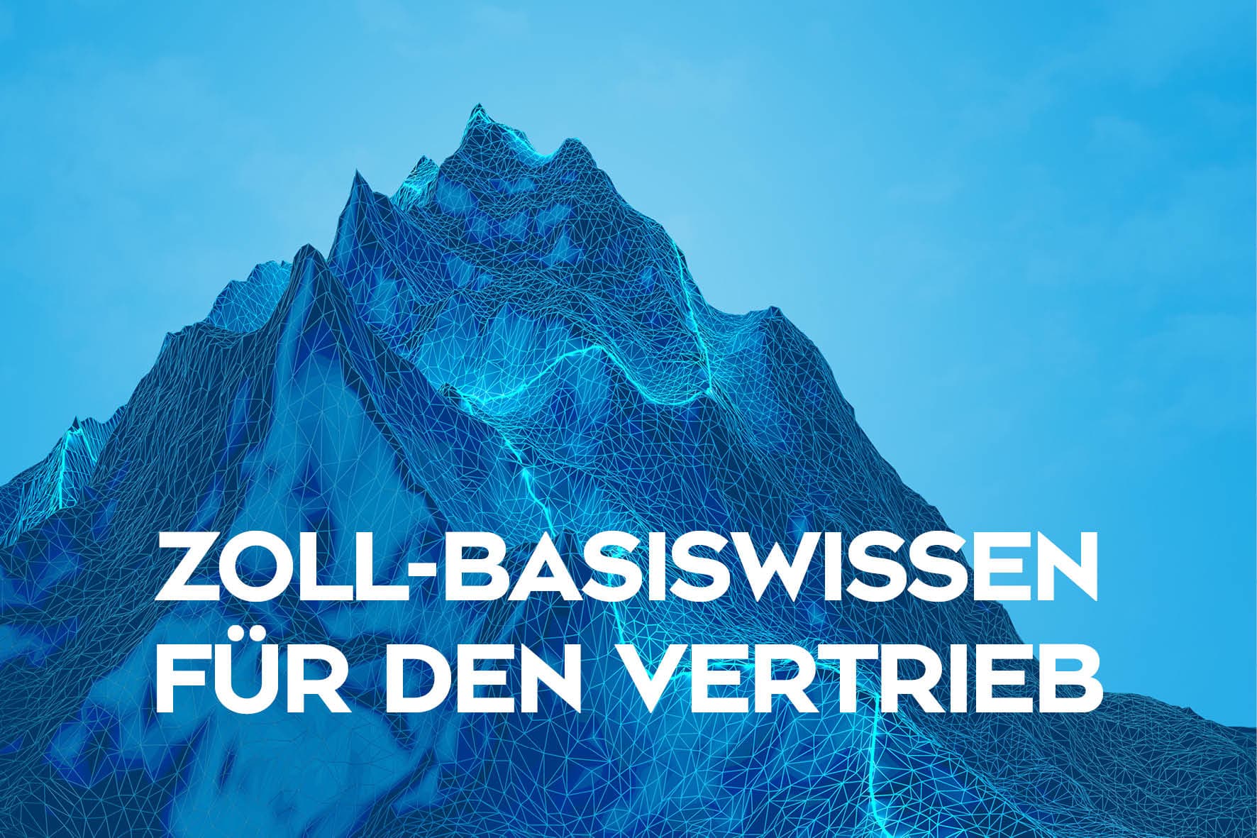 Zoll-Basiswissen für den Vertrieb – kompaktes Zollwissen für Verkäufer